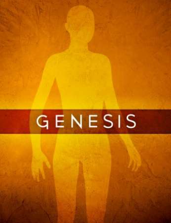 Genesis 1 Starter Essentials