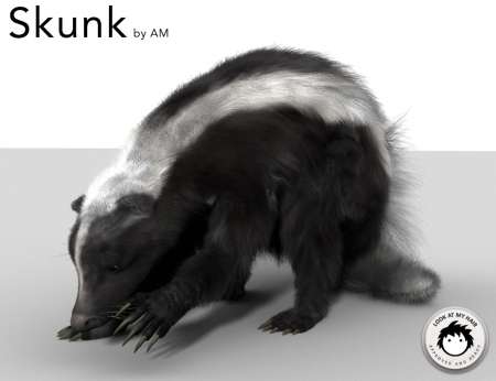 Skunk by AM